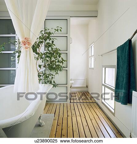 Wooden flooring and sliding glazed door in modern bathroom with pink rose tiebacks on white curtain above rolltop bath View Large Photo Image Stock Photography - Wooden flooring and sliding glazed door in modern bathroom with pink rose tiebacks on white curtain above rolltop bath. Fotosearch