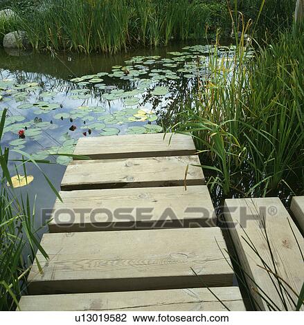 Wooden jetty to large garden pond View Large Photo Image Stock Image - Wooden jetty to large garden pond. Fotosearch