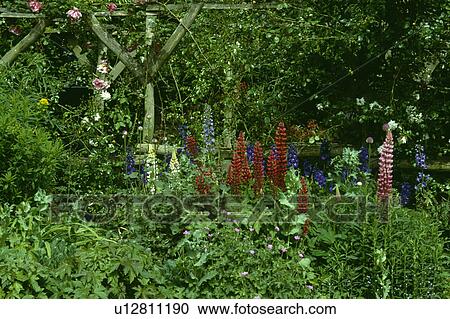 Stock Image - Wooden pergola in country garden in summer. Fotosearch