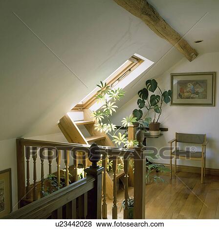 Wooden stair ladder to Velux window on loft landing with wooden flooring and small wooden chair View Large Photo Image Stock Photo - Wooden stair ladder to Velux window on loft landing with wooden flooring and small wooden chair. Fotosearch
