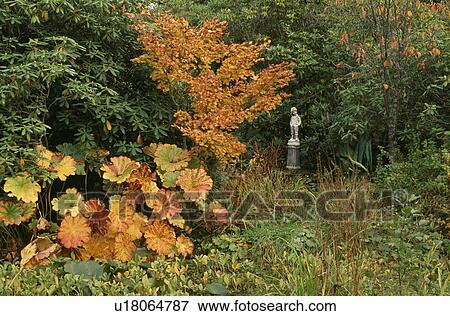 Woodland garden in Autumn with statue on plinth View Large Photo Image Stock Photo - Woodland garden in Autumn with statue on plinth. Fotosearch