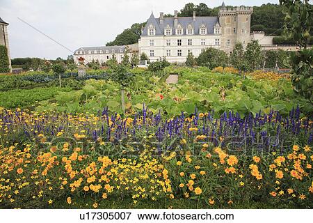 Stock Photo - yellow, purple, beds, formal, exteriors, gardens. Fotosearch