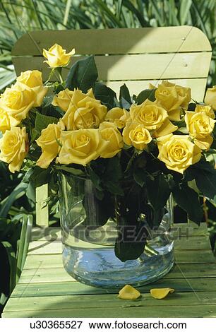 Yellow roses in glass vase on yellow chair View Large Photo Image Stock Photo - Yellow roses in glass vase on yellow chair. Fotosearch