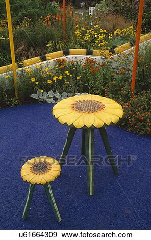 Stock Photo - Yellow "sunflower"stools on blue patio in town garden with orange & yellow summer flowering plants. Fotosearch