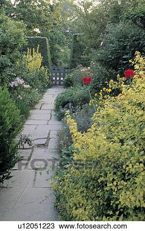 Stock Image - Yorkstone path btween double mixed borders leading to wooden gate.. Fotosearch