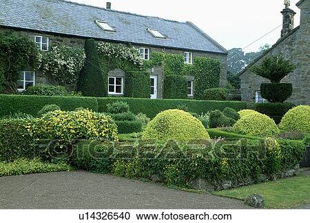 Stock Image - &#13; &#10; Clipped shrubs in large garden of country house in summer. Fotosearch