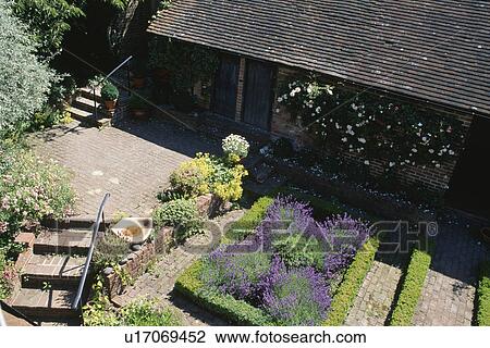 Aerial view of courtyard garden with llavender in border with clipped box hedges View Large Photo Image Stock Image - Aerial view of courtyard garden with llavender in border with clipped box hedges. Fotosearch
