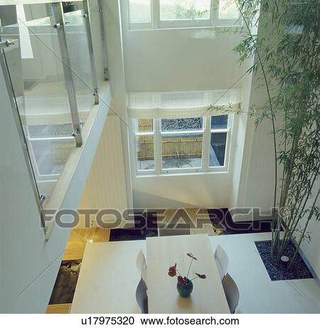 Stock Image - Aerial view of modern double-storey diningroom with concrete floor and large bamboo houseplant. Fotosearch