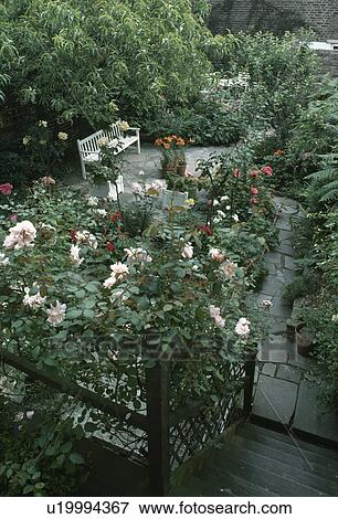 Stock Photo - Aerial view over pale pink roses to paved townhouse garden with white seat&#13; &#10; &#13; &#10;. Fotosearch