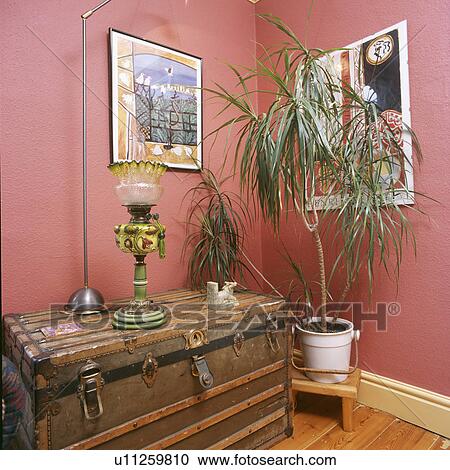 Antique glass lamp on old wooden chest in red hall with Dracaena Marginata plant View Large Photo Image Stock Image - Antique glass lamp on old wooden chest in red hall with Dracaena Marginata plant. Fotosearch