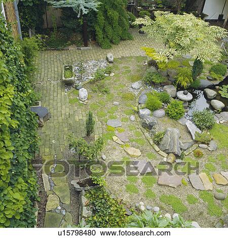 Stock Image - Ariel view of corner of walled courtyard with climmbing hydrangea and dwarf coniifers in gravel around a small pool. Fotosearch