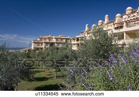 Stock Photography - Avenue of small trees in front of neutral modern apartment building in southern Spain. Fotosearch
