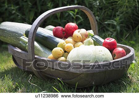 baskets, gardens, food, fruit, vegetables, harvest View Large Photo Image Stock Photograph - baskets, gardens, food, fruit, vegetables, harvest. Fotosearch