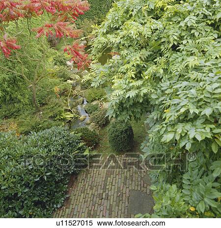Birds eye view of a country garden in autumn with wisteria and stag'shorn sumach View Large Photo Image Stock Photography - Birds eye view of a country garden in autumn with wisteria and stag'shorn sumach. Fotosearch