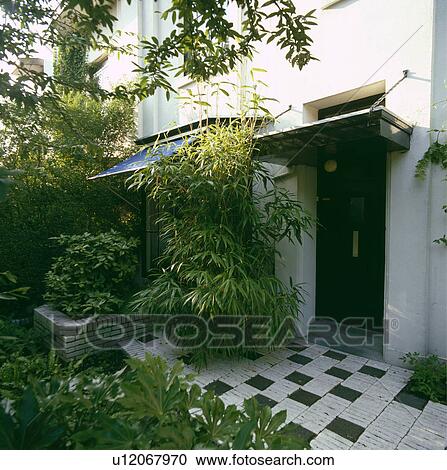 Stock Image - Blue awning on window of white house with tall arundinaria beside front door. Fotosearch
