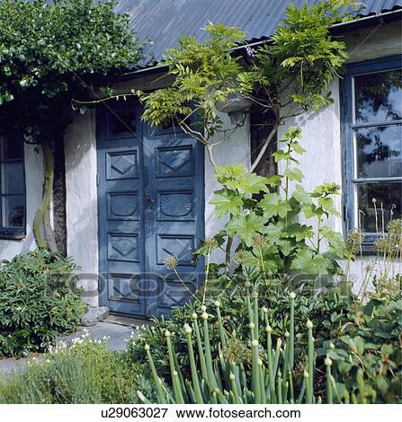 Stock Photo - Blue double doors and window on traditional white country cottage. Fotosearch