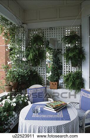Stock Image - Blue tablecloth & cushions on table on balcony with green plants in pots on trellis and white petunias in windowbox . Fotosearch