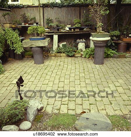 Brick-paved patio in town garden with bonsai in containers View Large Photo Image Stock Image - Brick-paved patio in town garden with bonsai in containers. Fotosearch
