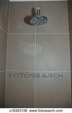 Stock Photo - Chrome shower head on brown tiled wall in modern bathroom. Fotosearch
