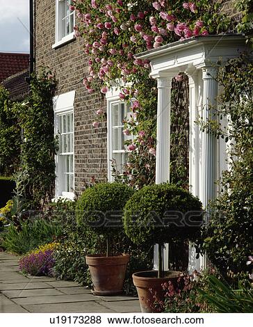 Stock Photo - Clipped box trees on either side of porch on traditional country house. Fotosearch