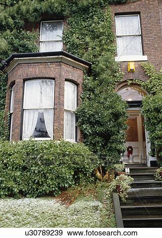Clipped hedge in front of bay window of traditional townhouse with steps leading up to the front door and ivy climbing up the walls View Large Photo Image Stock Photo - Clipped hedge in front of bay window of traditional townhouse with steps leading up to the front door and ivy climbing up the walls. Fotosearch