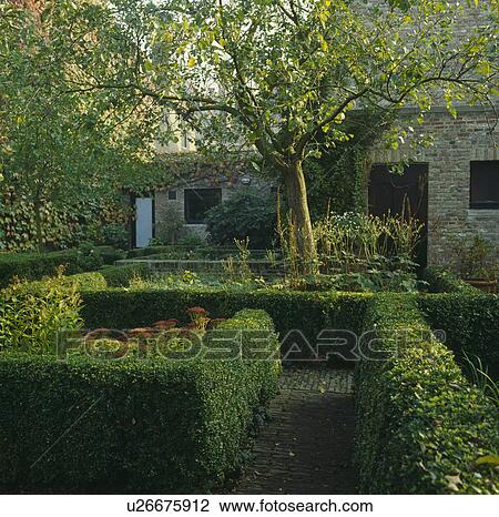 Clipped hedges in formal country garden in summer View Large Photo Image Stock Image - Clipped hedges in formal country garden in summer. Fotosearch