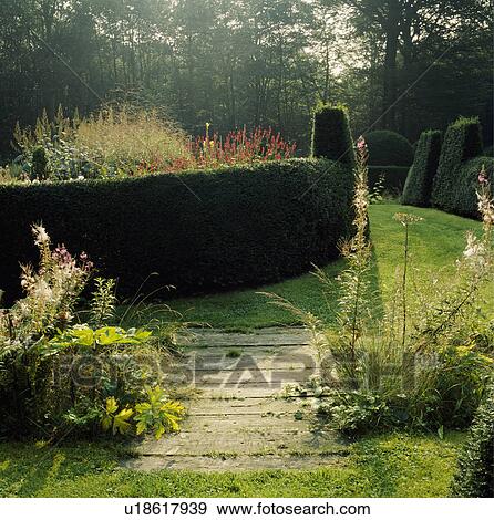 Stock Photo - Clipped hedges in formal country garden in summer. Fotosearch