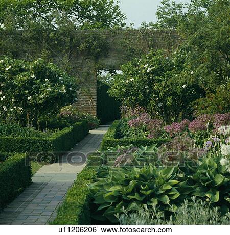 Clipped hedges in formal country garden in summer View Large Photo Image Stock Photograph - Clipped hedges in formal country garden in summer. Fotosearch
