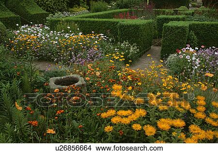 Clipped hedges in large country garden in summer View Large Photo Image Picture - Clipped hedges in large country garden in summer. Fotosearch