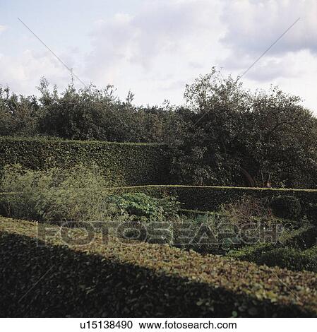 Stock Image - Clipped hedges in large country garden. Fotosearch