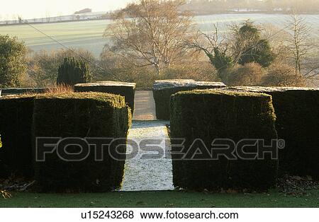 Stock Photo - Clipped hedges in large country garden in winter. Fotosearch