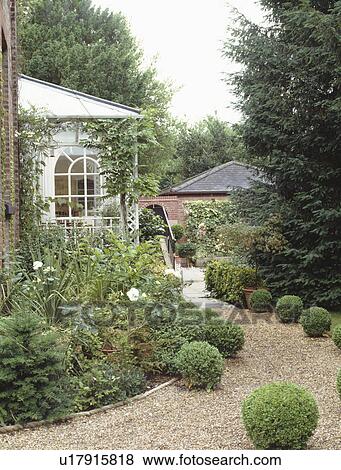 Clipped topiary balls edging gravel path to conservatory in country house garden View Large Photo Image Stock Photo - Clipped topiary balls edging gravel path to conservatory in country house garden. Fotosearch