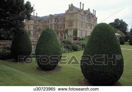 Clipped yew on lawn in large garden of Jacobean country house View Large Photo Image Stock Photography - Clipped yew on lawn in large garden of Jacobean country house. Fotosearch