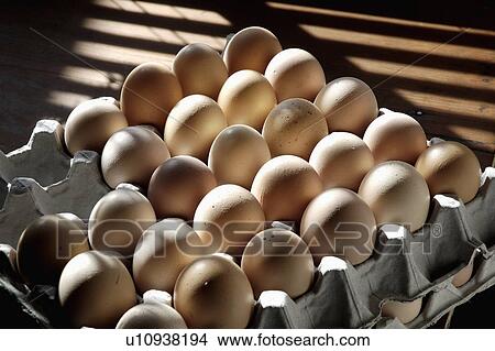 Close-up of a tray of fresh eggs View Large Photo Image Picture - Close-up of a tray of fresh eggs. Fotosearch