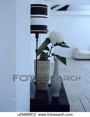 Close-up of black+white striped lamp and plain vases View Large Photo Image Stock Image - Close-up of black+white striped lamp and plain vases. Fotosearch