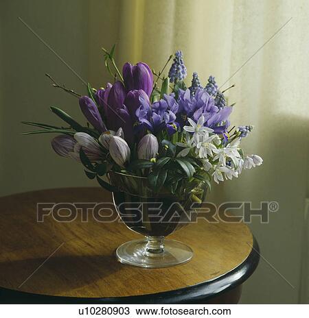 Stock Image - Close-up of blue irises and purple crocus in spring flower arrangement in stemmed glass vase. Fotosearch