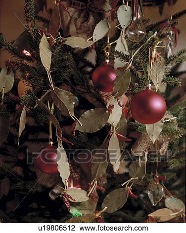 Stock Image - Close-up of Christamas tree decorations of bay leaves and red glass baubles. Fotosearch