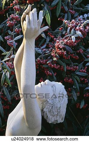 Close-up of classical statues in the garden View Large Photo Image Stock Photo - Close-up of classical statues in the garden. Fotosearch