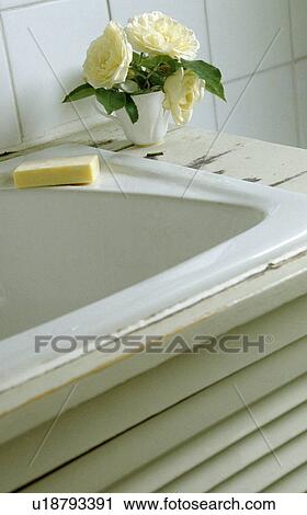 Close-up of cream roses beside white enamel bathroom basin View Large Photo Image Stock Image - Close-up of cream roses beside white enamel bathroom basin. Fotosearch