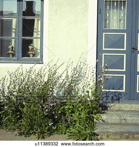 Stock Image - Close-up of exterior of country house. Fotosearch