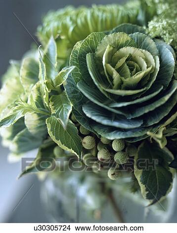 Close-up of green cabbage in modern fresh flower arrangement View Large Photo Image Picture - Close-up of green cabbage in modern fresh flower arrangement. Fotosearch