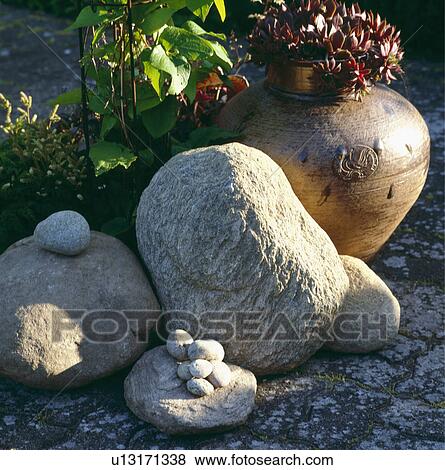 Close-up of large smooth stones and aeoniums in pot View Large Photo Image Stock Photo - Close-up of large smooth stones and aeoniums in pot . Fotosearch
