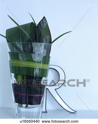 Close-up of metal initial and green leaves in glass vase View Large Photo Image Stock Image - Close-up of metal initial and green leaves in glass vase. Fotosearch