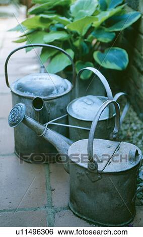 Close-up of old galvanised watering cans View Large Photo Image Stock Photograph - Close-up of old galvanised watering cans. Fotosearch