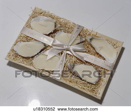 Close-up of oyster shell candles in oblong dish tied with white and gold lettered ribbon View Large Photo Image Stock Image - Close-up of oyster shell candles in oblong dish tied with white and gold lettered ribbon. Fotosearch