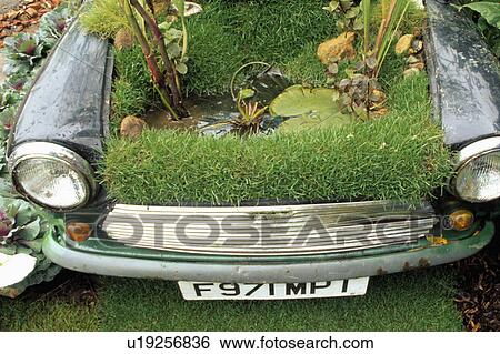 Close-up of plants in Mini car View Large Photo Image Stock Photograph - Close-up of plants in Mini car. Fotosearch