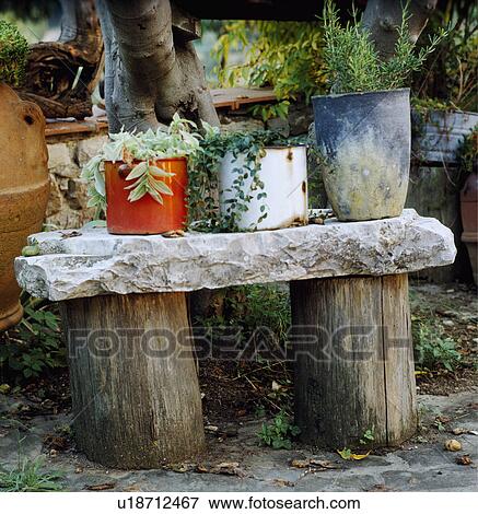 Stock Photo - Close-up of plants in pots on garden table. Fotosearch