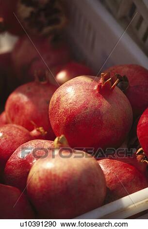 Close-up of pomegranates for sale in market. View Large Photo Image Stock Image - Close-up of pomegranates for sale in market.. Fotosearch