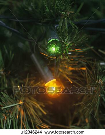 Picture - Close-up of red and green lights on Christmas tree. Fotosearch