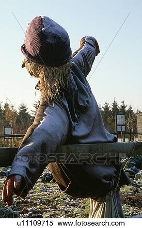 Close-up of scarecrow View Large Photo Image Stock Photography - Close-up of scarecrow. Fotosearch